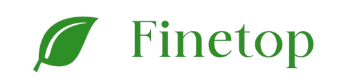 fintetop